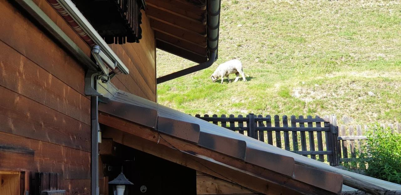 Ferienhaus&Ferienwohnung Wiñay Wayna Gotschna Blick Klosters-Serneus Exterior foto